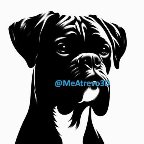 Boxer #1