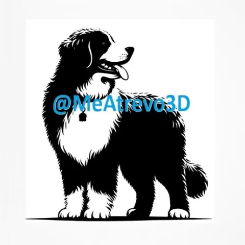 Bernedoodle