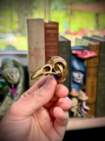 Raven skull ring