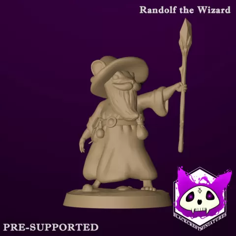 Randolf the Wizard by Blackcrest Miniatures