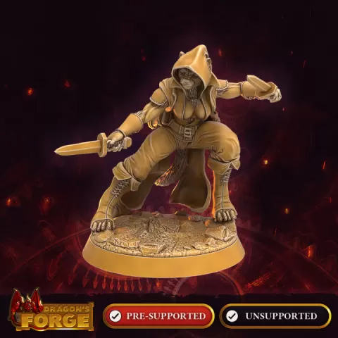 Katmandari Female Thief of the Arachnus Cowl 3 by Dragon's Forge Miniatures