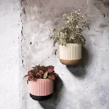CANNELÉ | Wall / Fridge Planter