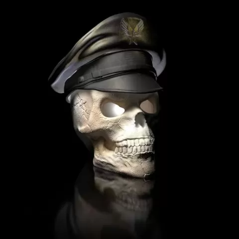 Skull with airforce cap