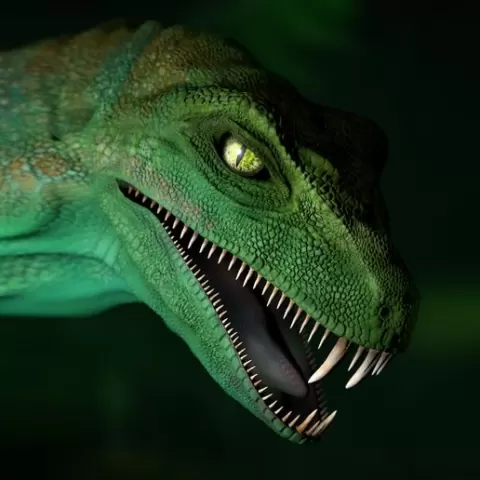 Raptor - Fantasy wall or plinth