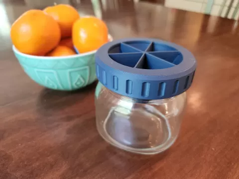 Fruit Fly Trap Mason Jar Lid