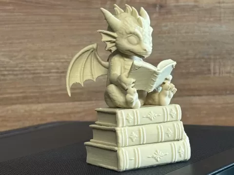 Baby Dragon reading Book