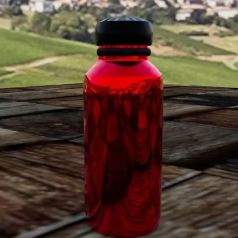 Water Bottle
