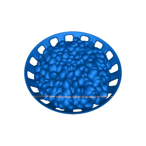 noisette 13 d