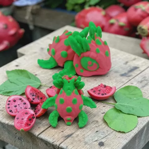 Dragon Fruit Turtle by The Dragon's Den