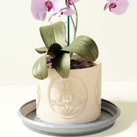 Bevel Smooth Tray - CreativeCraftainers