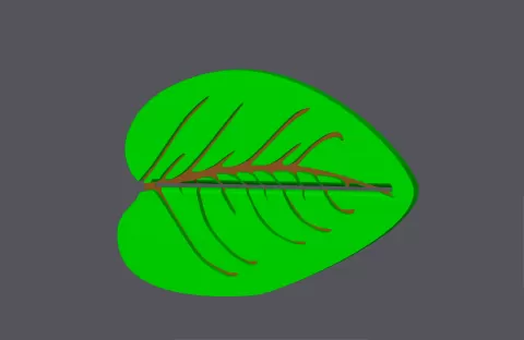 Leaf 2 - Toothpaste Squeezer - studio WES