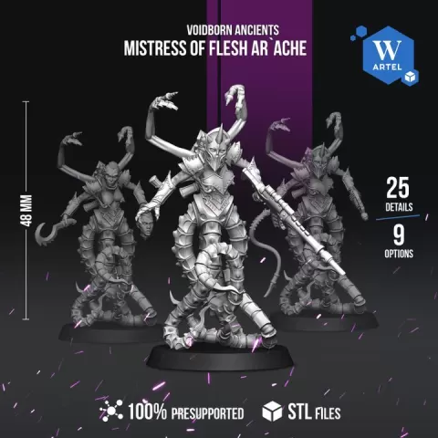 Mistress of Flesh Ar`ache - Artel W by Artel W STL Miniatures