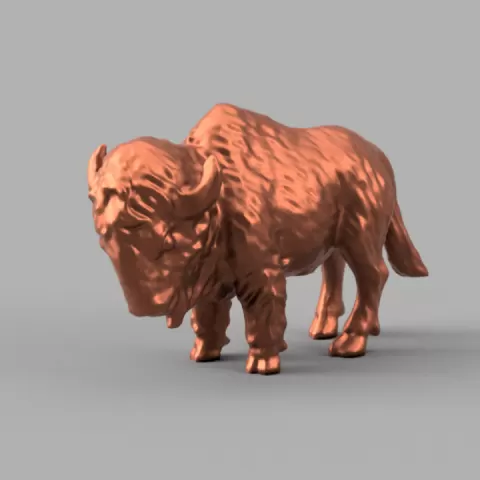 Bison by anthony