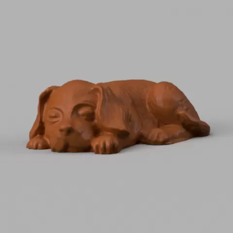 Chien allongé by anthony