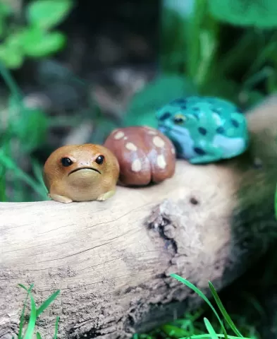 Grumpy Rain frog - No supports