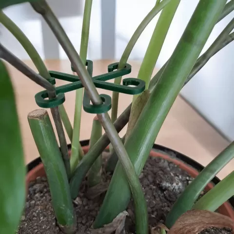 Stable Plant Support Hooks