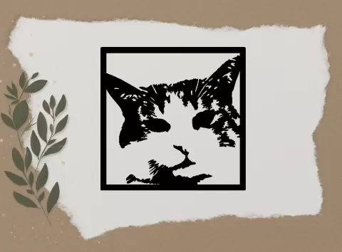 WALL DECORATION