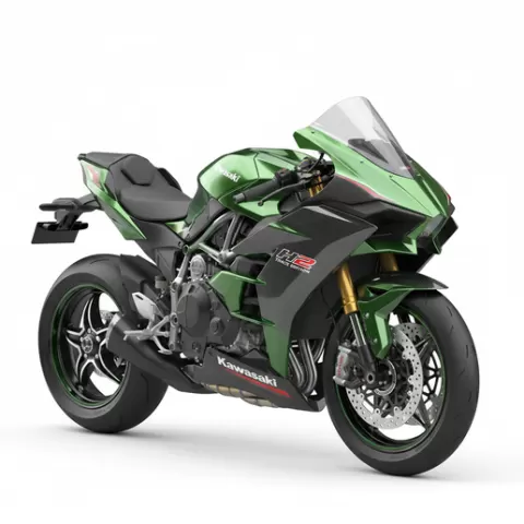 Kawasaki Ninja H2 Track Edition, motorcycle, bike, biker, racing, rider, motorsport, speed, custom, cruiser