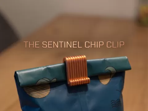 The Sentinel Chip Clip