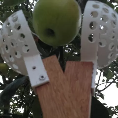 Apple picker by Martijn Leisink