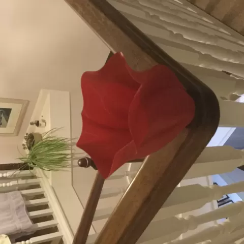 Cool Vase by Olly Mason