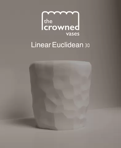 The Crowned Vases - Linear Euclidean 30