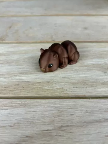 Wombat Fidget