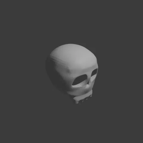 Test Skull - T0mada