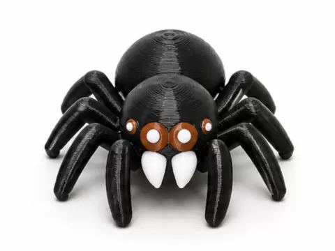 Scary Jumping Spider
