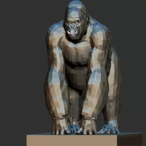 cong monkey