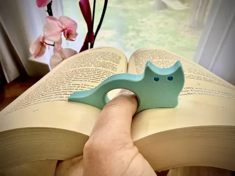 Cat Page Holder