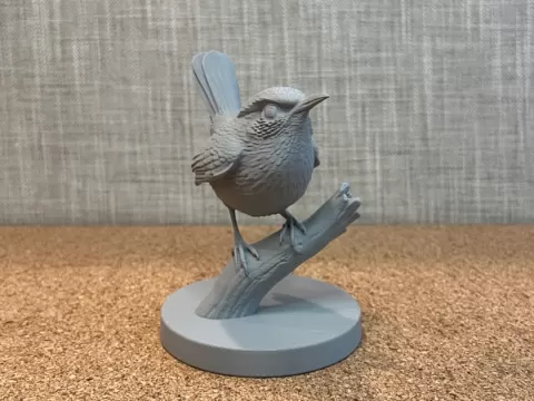 Carolina Wren