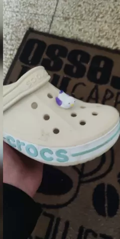Bird croc charm