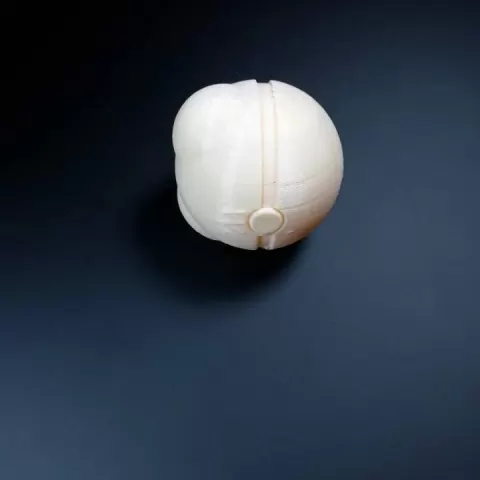 Masterball by Mathis Malette
