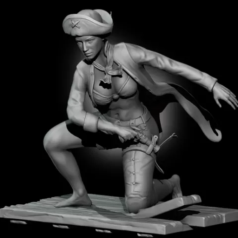 Pirate 3D print model