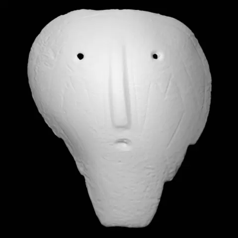 Shell Mask by Scan The World