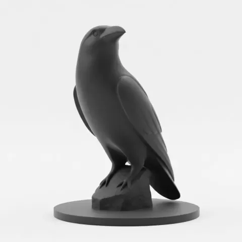 Raven / Rabe - Brainbits3D