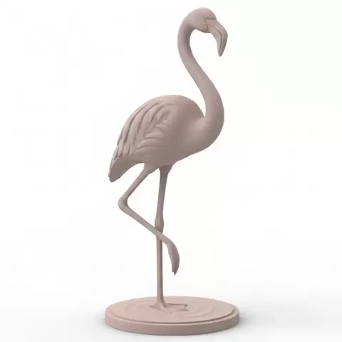 Flamingo - Brainbits3D