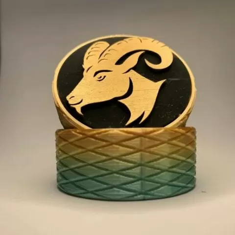 Capricorn Astro Box: Structured and Serious