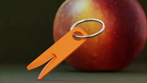Tick Tool