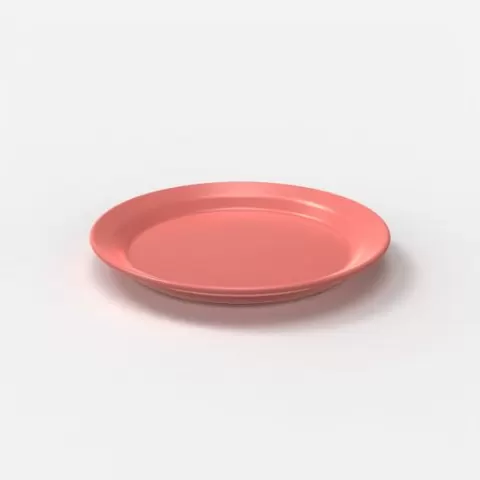 Plate