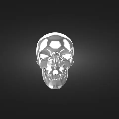 Skull