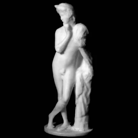 Narcissus at The State Hermitage Museum, St Petersburg by Scan The World