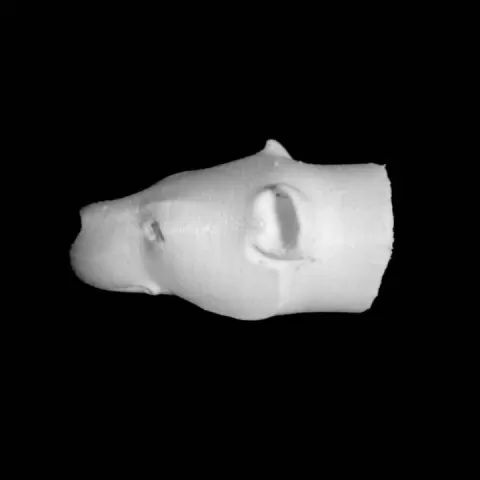 Lioness-headed rhyton at The Heraklion Archaeological Museum, Belgium by Scan The World