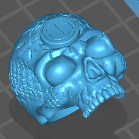 Skull Ring On