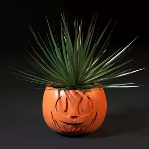 Pumpkin pots