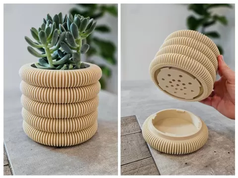 Coins Planter with Hidden Drip Tray