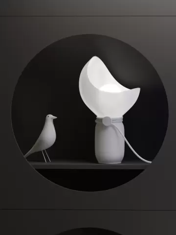 Moon Light Lamp