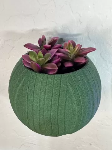 Modern Wall Mounted Succulent Pot