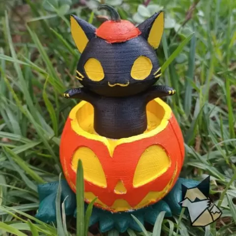 Cute Scaredy Cat